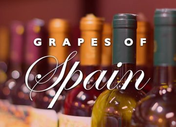 Grapes of Spain